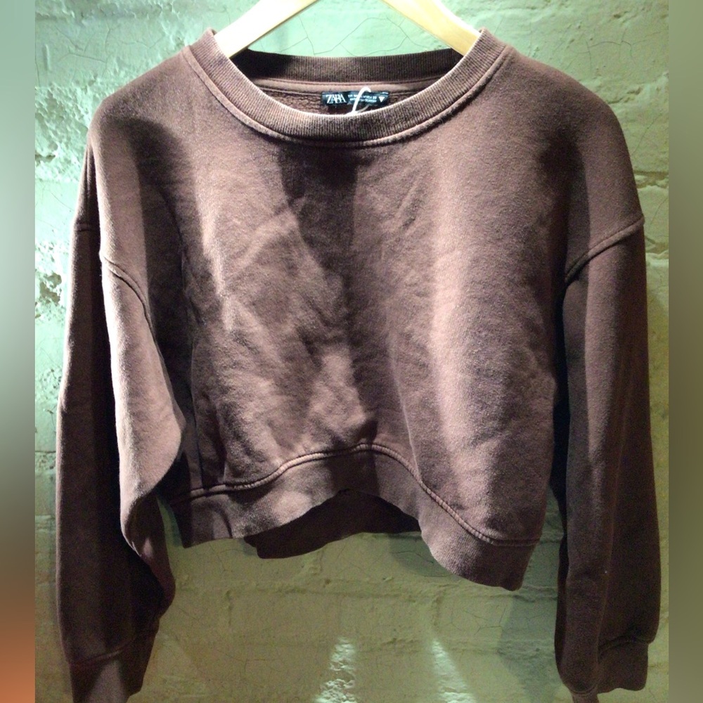 NEW! Zara Cropped Crewneck Sweatshirt in Chocolate Brown